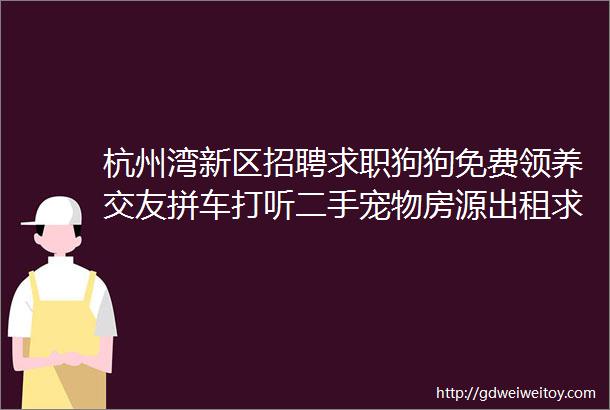 杭州湾新区招聘求职狗狗免费领养交友拼车打听二手宠物房源出租求租