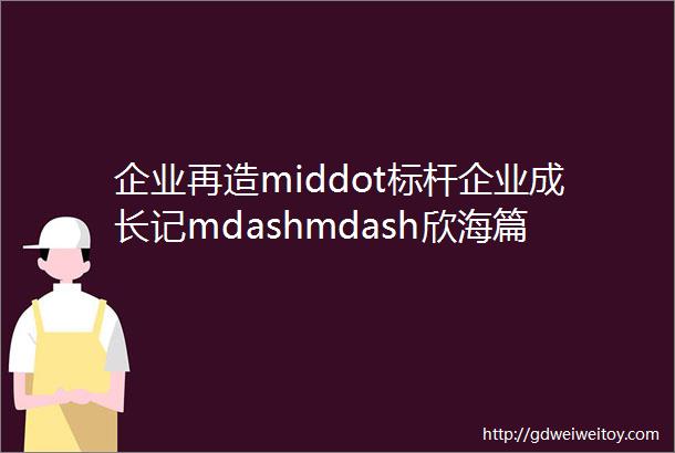 企业再造middot标杆企业成长记mdashmdash欣海篇