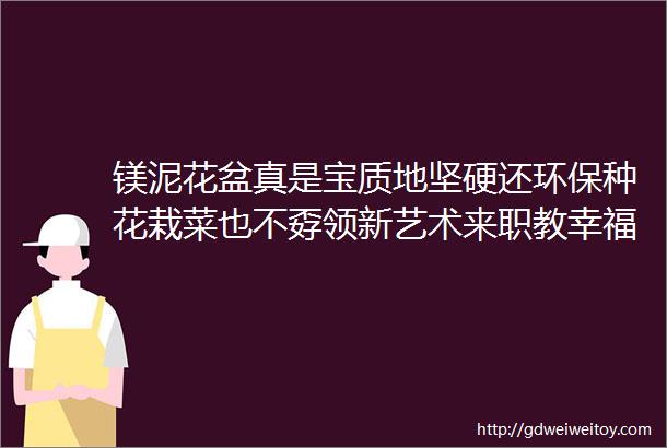 镁泥花盆真是宝质地坚硬还环保种花栽菜也不孬领新艺术来职教幸福财源共创造