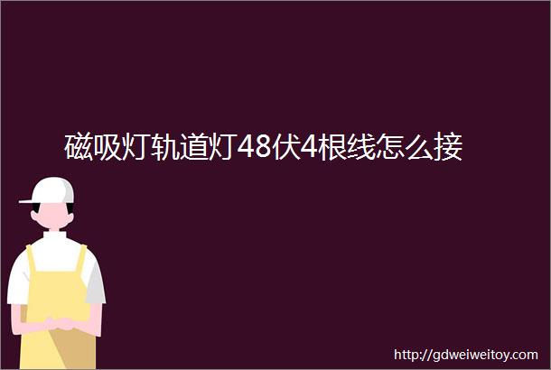 磁吸灯轨道灯48伏4根线怎么接