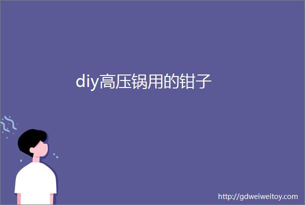 diy高压锅用的钳子