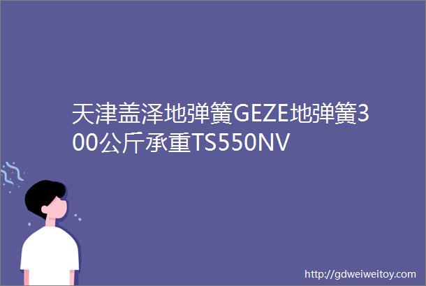 天津盖泽地弹簧GEZE地弹簧300公斤承重TS550NV