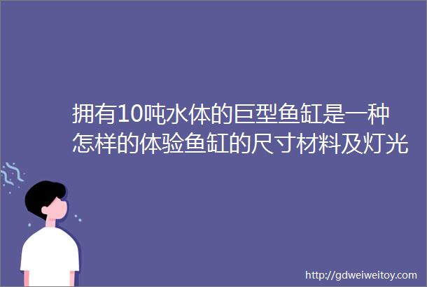 拥有10吨水体的巨型鱼缸是一种怎样的体验鱼缸的尺寸材料及灯光的介绍一