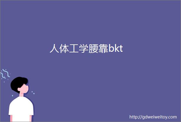 人体工学腰靠bkt