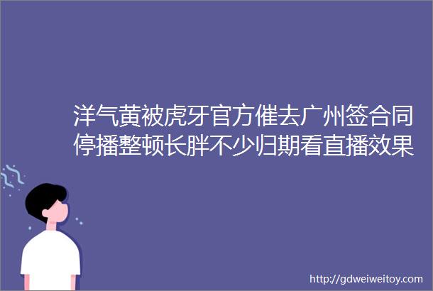 洋气黄被虎牙官方催去广州签合同停播整顿长胖不少归期看直播效果