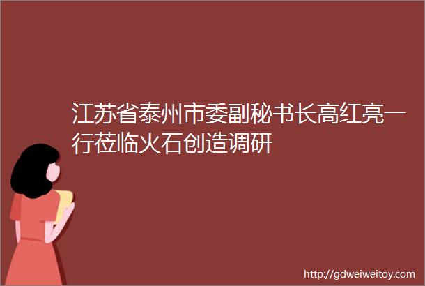 江苏省泰州市委副秘书长高红亮一行莅临火石创造调研