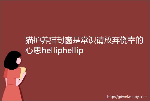 猫护养猫封窗是常识请放弃侥幸的心思helliphellip