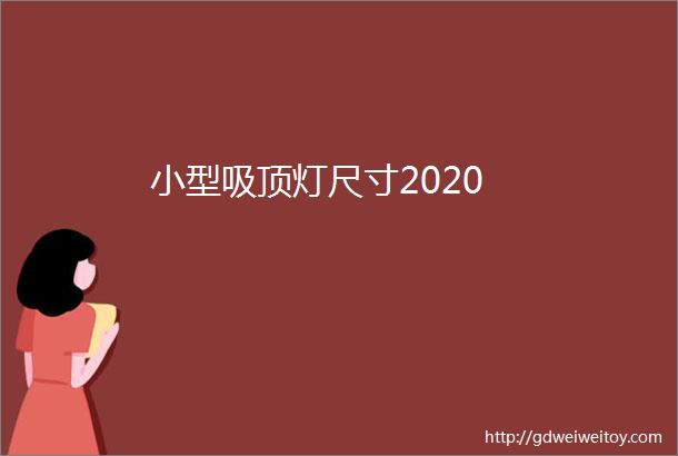 小型吸顶灯尺寸2020