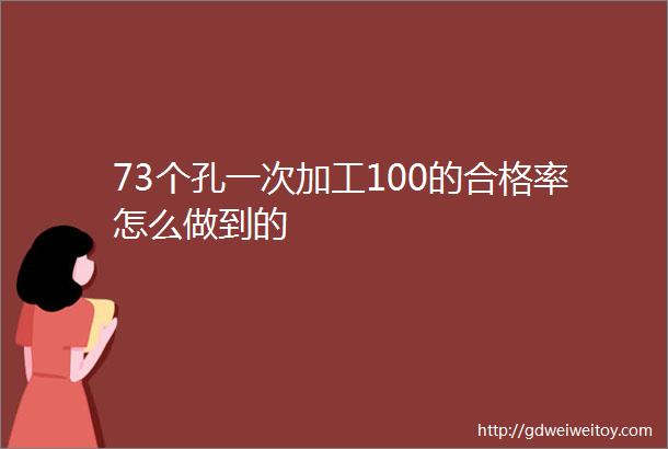 73个孔一次加工100的合格率怎么做到的