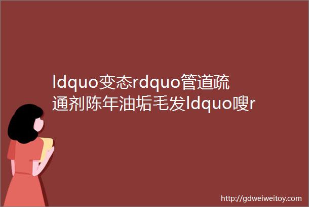 ldquo变态rdquo管道疏通剂陈年油垢毛发ldquo嗖rdquo的一下都通了小飞虫也不来了