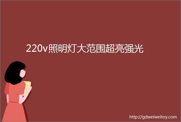 220v照明灯大范围超亮强光