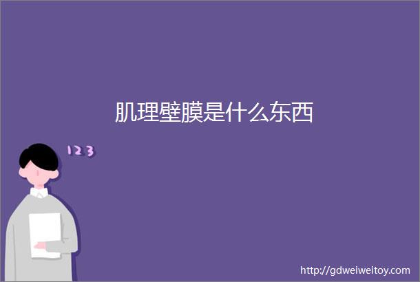 肌理壁膜是什么东西