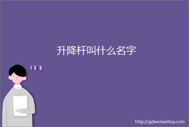 升降杆叫什么名字