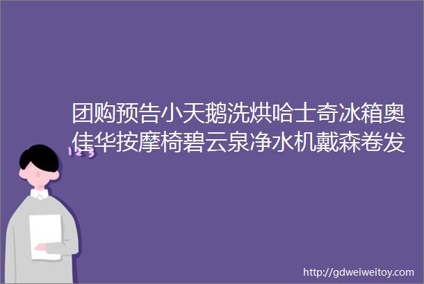 团购预告小天鹅洗烘哈士奇冰箱奥佳华按摩椅碧云泉净水机戴森卷发棒松下踢脚线取暖器一末团团