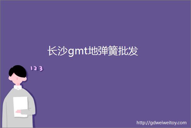 长沙gmt地弹簧批发