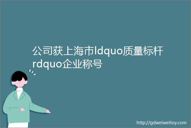 公司获上海市ldquo质量标杆rdquo企业称号