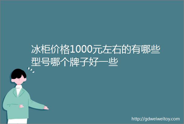 冰柜价格1000元左右的有哪些型号哪个牌子好一些