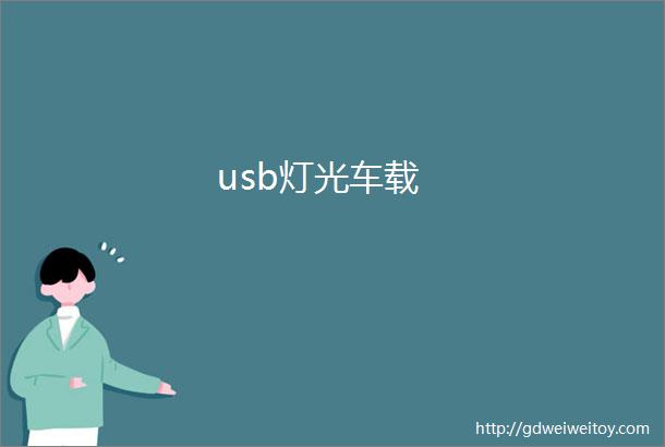 usb灯光车载