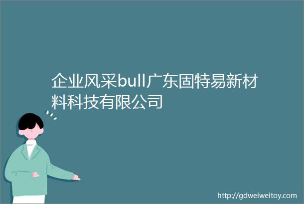 企业风采bull广东固特易新材料科技有限公司